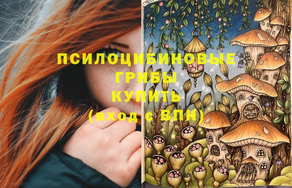 экстази Абаза