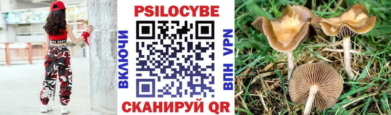Псилоцибиновые грибы прущие грибы Александров